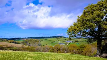 The Gift of a Glorious Week: Make the Most of the UK's Beautiful Weather